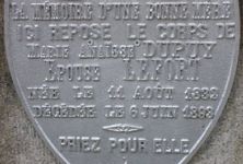 Cliquer pour agrandir
