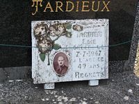 Cliquer pour agrandir